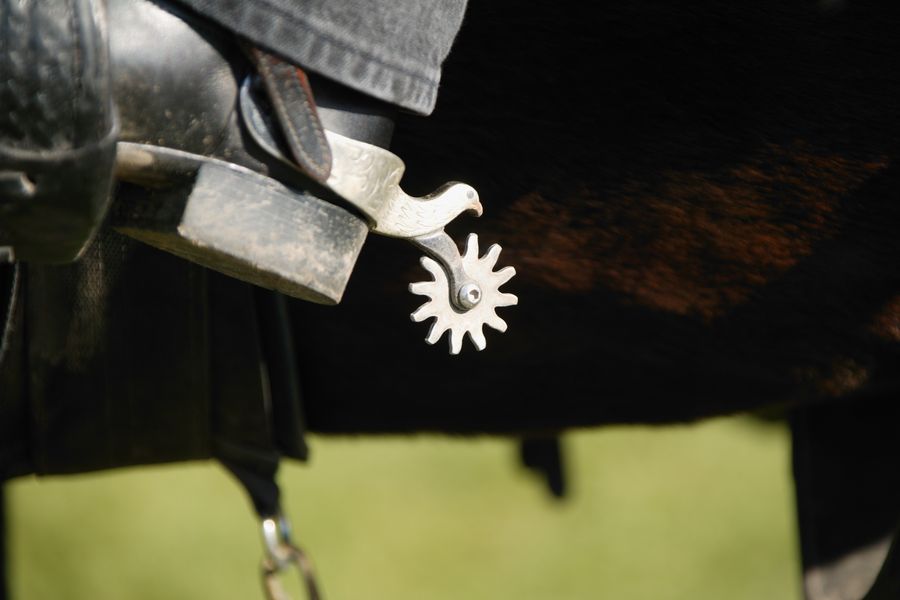 A silver spur with a dove-shaped shank on a boot
